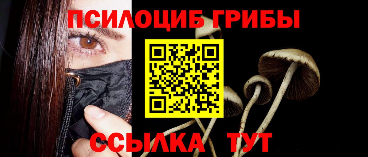 Видное  Галлюциногенные грибы прущие грибы  Вход с VPN 
